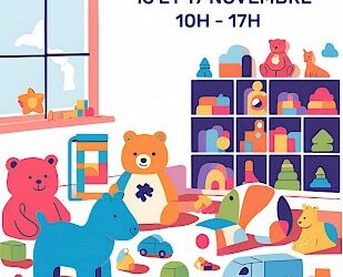 Vente de jouets de seconde main au Centre Culturel de La Biolle