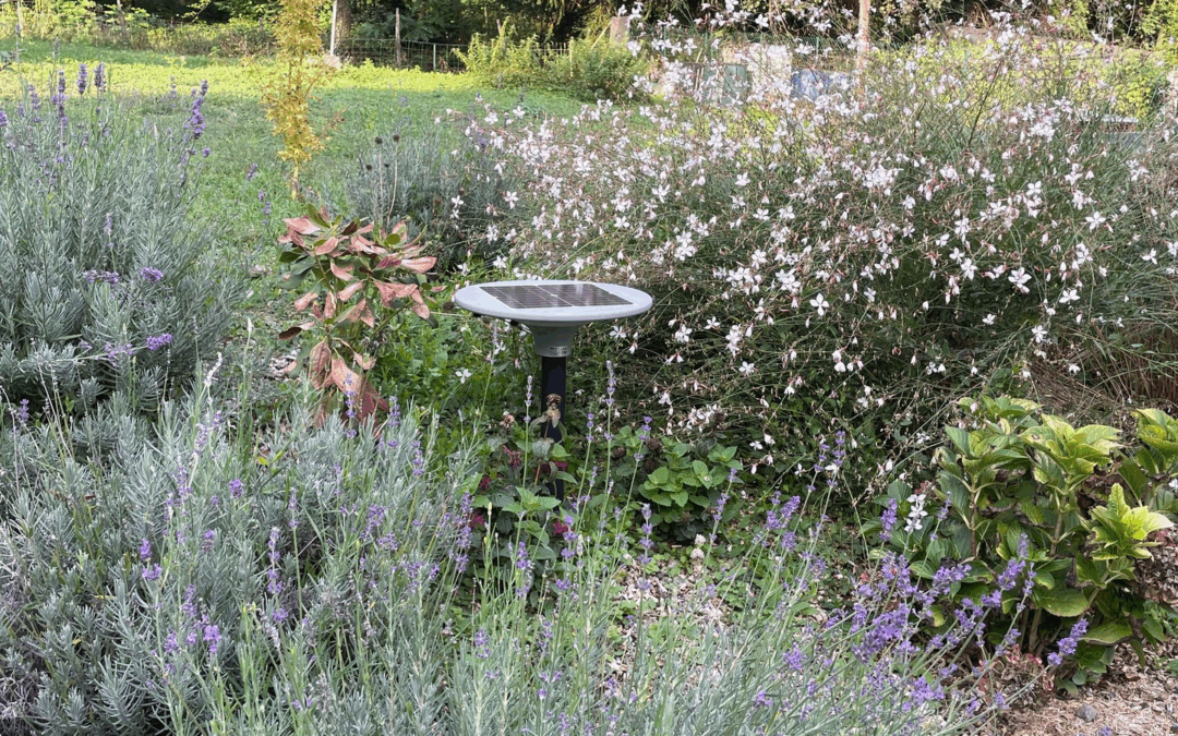 Grande vente de luminaires solaires à la Recyclerie de Drumettaz !